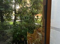 Serangoon Garden Estate (D19), Apartment #434507491